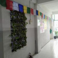 Traveler House - B&B Dimāpur