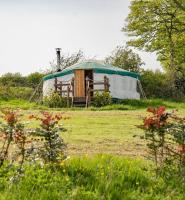 Dandelion Hill Yurt