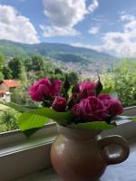 Hedgehog's Home - Ježeva kućica Free Parking - B&B Sarajevo