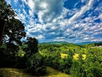 Pleasant Grove Cottages - Misty Mtn (#113) / Lazy Bear (#115) - B&B Weaverville