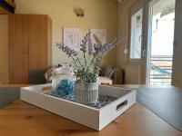Appartamento Monolocale con Vista Mare