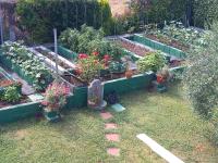 TAMMY'S GARDEN HOUSE - Chambres d’hôtes