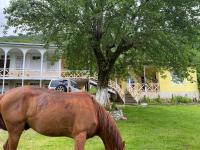 B&B Mart’vili - Guest House Balda - Bed and Breakfast Mart’vili