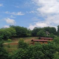 Brvnare Duguljac Fruška Gora - Chambres d'hôtes Bukovac