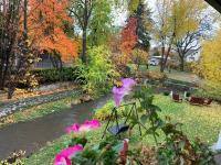 Kelowna little Island near Downtown, lake, hospital and Okanagan Collage - B&B Kelowna