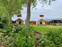 Cosmo Glamping Tent at Zenzen Gardens - B&B