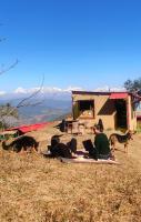King Room with Mountain View