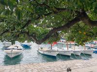 Studio Apartment Danka Old Town Budva - B&B Budva