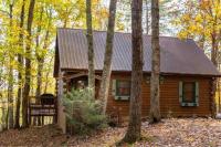 B&B Blue Ridge - Mountain Time Cabin, Hot tub, Fire Pit, Fireplace - Bed and Breakfast Blue Ridge