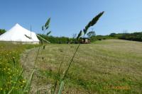 B&B Kidwelly - Ffos Wilkin Glamping & Alpacas - Bed and Breakfast Kidwelly