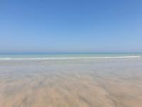 Les Volets Bleus de Veules Les Roses - B&B