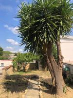 Piccola Oasi di Pace - B&B Santa Ninfa