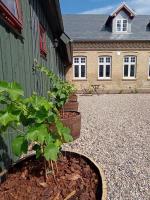 Apartment in Danmark -Petersminde Exclusive Apartments - B&B