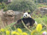 Domaine du Mont des Chênes - B&B Monthou-sur-Cher