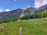 Agriturismo Malga Pontevecchio - Chambres d’hôtes Cogolo