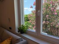 Superior Luxury 4 stars Vorgesetzter 4 sterne apartments 150m to sea, to Sandy and Pebble beach - B&B