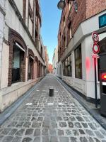 Le Petit Héros, appartement cosy en hyper centre - Ferienwohnung
