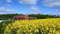 Red Bird Farm, Bed & Breakfasts - Ystad
