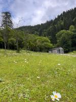 Cozy house in the forest - B&B Borjomi