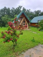 B&B Mojkovac - Gazela Bungalov 1 - Bed and Breakfast Mojkovac