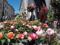 Maison Carles BnB - B&B