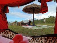 B&B Kintamani - Kintamani Adventures 'Life Hurt, Nature Heal' - Bed and Breakfast Kintamani