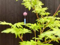 桃夭庵 touyouan momo house kujo 一棟貸切 - B&B Kyoto