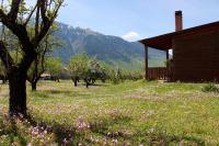 Villa Rustica - Bed and Breakfast Kónitsa