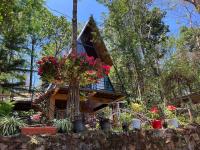 B&B Vythiri - Wild root stay- Orchid Chalet - Bed and Breakfast Vythiri