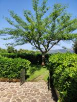 Apartment mit Gartenblick
