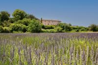 Chez Manon - B&B