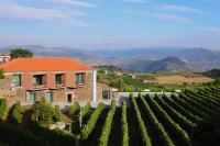 B&B Provesende - Casa do Santo - Wine & Tourism - Bed and Breakfast Provesende