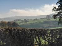 The Dolfor Inn - B&B Newtown