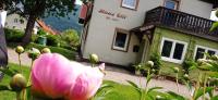 B&B Greifenburg - Haus Elli - Bed and Breakfast Greifenburg