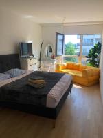 One bedroom 3pieces entire Modern Appartment close to Airport, CERN, Palexpo, public transport to the center of Geneva