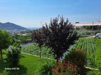 B&B Taggia - La Morena - Bed and Breakfast Taggia