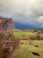 Les coteaux de Planèze, idéal déplacement pro - B&B Saint-Laurent-les-Tours