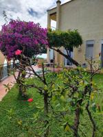 Casa Vacanze Vista Mare ad Acciaroli località Mezzatorre - B&B Agnone