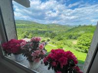 Apartment Kaštel - Ferienwohnung Pazin