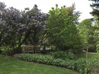 Stilvolle Ferienwohnung am Großen Garten - Chambres d’hôtes