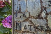 Villa La Natura x9 Whole villa with private parking - Chambres d’hôtes Sorrente
