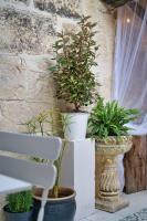 Appartement-Terrasse Centre Historique - Ferienwohnung Uzès