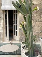 Art Stay Modique - B&B Nadur