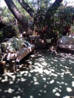 Sous les pins - Ferienwohnung