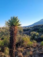 Saffier river cottage Farmstay - B&B Lady Grey