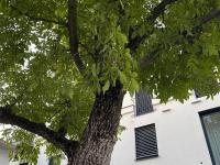 WOHNEN BAHNSTRASSE 5 - Chambres d’hôtes Klagenfurt