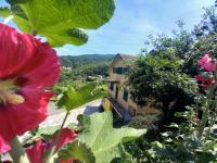 La valle fiorita - Ferienwohnung