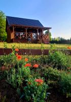 Domki Na Wzgórzu - domek nr 1 - B&B Mrągowo