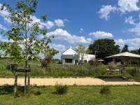 Maison Coucou - Bed and Breakfast Thuin