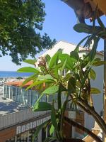 Deluxe Double Room with Balcony and Sea View